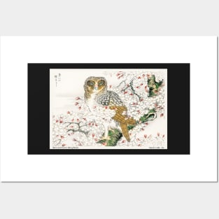 Japanese Short-eared Owl Water color Numata Kashu Posters and Art